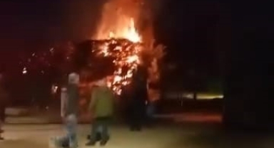 Sebepsiz yere ateşe verilen ağaç itfaiyeyi harekete geçirdi