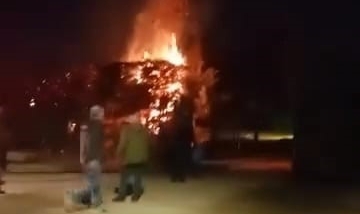 Sebepsiz yere ateşe verilen ağaç itfaiyeyi harekete geçirdi