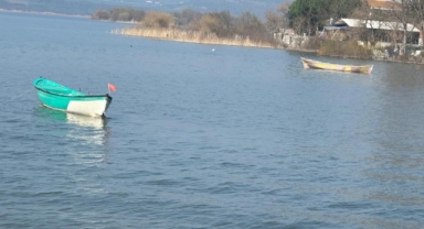 Turna severlere Uluabat Gölü'nden güzel haber