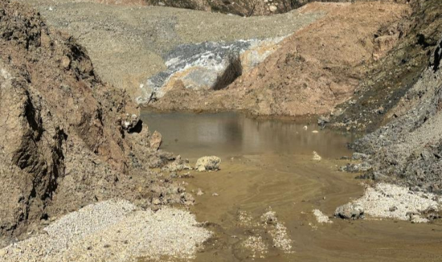 Yenişehir'de çevre katliamı devam ediyor