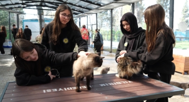 Yıldırım'da öğrencilerden patili canlara ziyaret