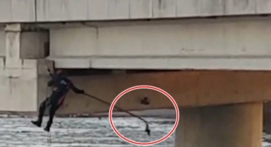 Asılı kalan güvercini halatla inip kurtardılar