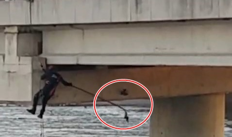 Asılı kalan güvercini halatla inip kurtardılar