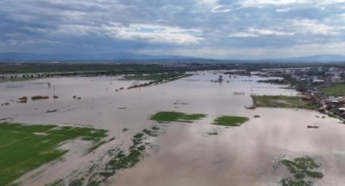 Bursa'da çeltik ve ikinci ürün yasağı kalktı