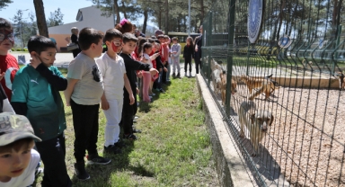Bursa'da çocuklar patili dostlarla buluştu