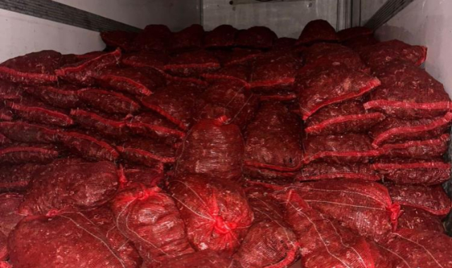 Bursa ve Balıkesir’de tonlarca midye ele geçirildi