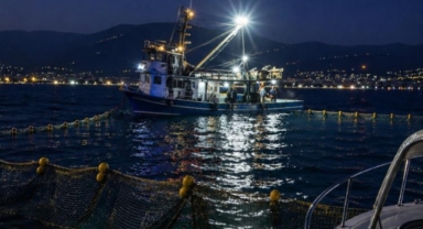 Gemlik Körfezi'nde sardalya avcılığı başladı