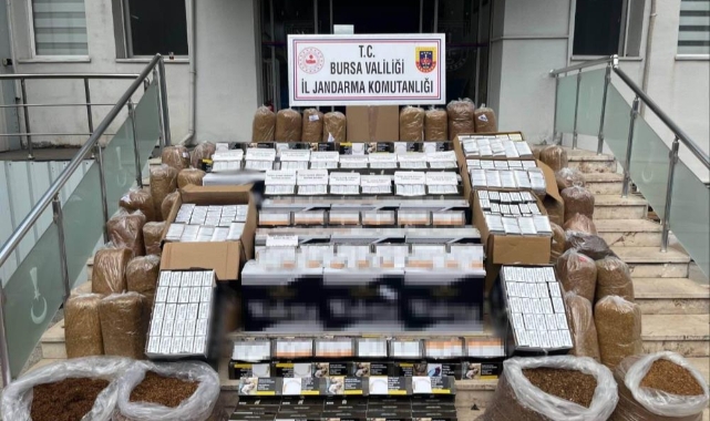 Gemlik'te kaçak tütün operasyonu