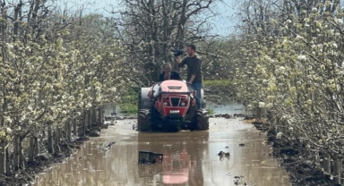 Gürsu'da yüzlerce dönüm meyve bahçesi su altında