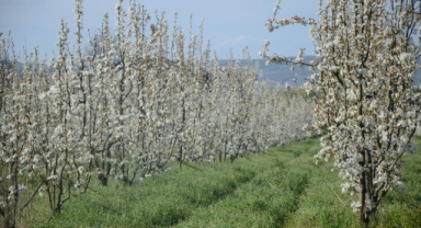 İnegöl'de kartpostallık görüntüler