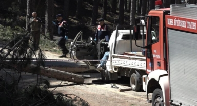 İşe giderken aracının üzerine ağaç devrildi: 1 ölü