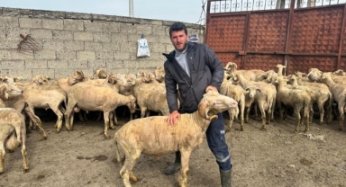 Kurbanlık parasıyla evlenmişti şimdi doğacak bebeği için kullanacak