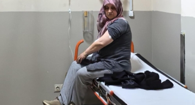 Odun taşıyan kadını akrep soktu!