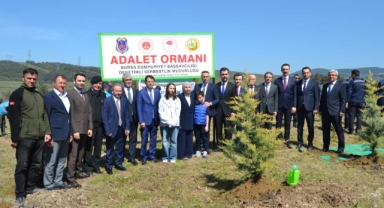 Şehit Cengiz Yiğit anısına hatıra ormanı oluşturuldu