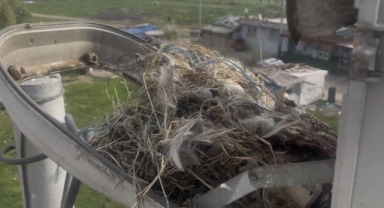 Sokak lambaları kuşlara yuva oldu