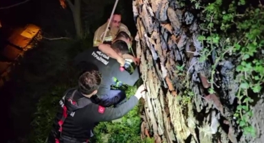 Tophane surlarında intihar girişimi