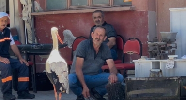 Bu dostlar da kahvehanede buluşuyor