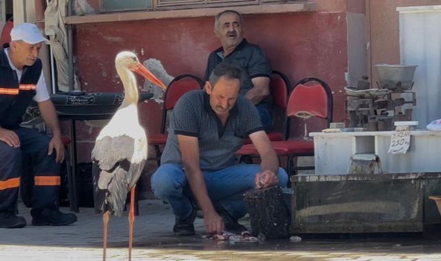 Bu dostlar da kahvehanede buluşuyor