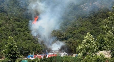 Bursa'da ormanlık alanda yangın
