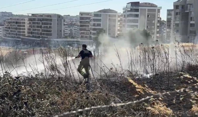 Bursa'da otluk alanda çıkan yangın korkuttu