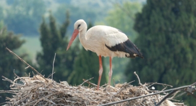 Bursa'nın