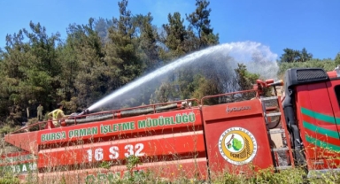 Gemlik'te piknik alanı yakınındaki yangın korkuttu