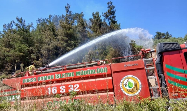 Gemlik'te piknik alanı yakınındaki yangın korkuttu