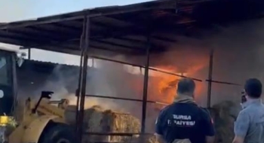 Karacabey'de çiftlik yangını: 4 büyükbaş hayvan telef oldu