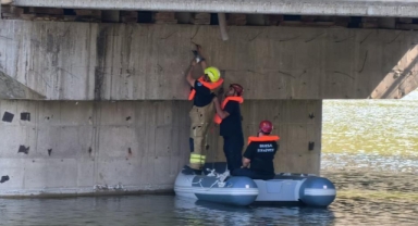 Köprü altında ipe takılan güvercini itfaiyeciler kurtardı