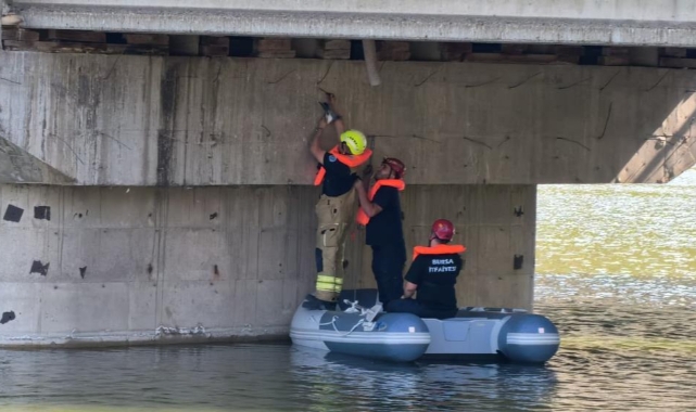 Köprü altında ipe takılan güvercini itfaiyeciler kurtardı