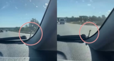 Seyir halindeki aracın kaputunda yılan paniği