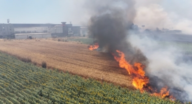 Silivri'de yangın rüzgarla birlikte büyüyor
