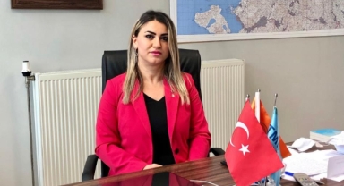 Türkiye'de 215 yeni diri fay keşfedildi