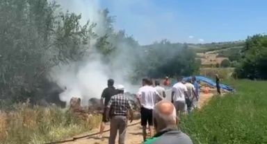 Yakılan anız 20 dönüm'ü küle çevirdi