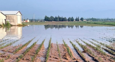 Yenişehir'de sel ve dolu felaketi