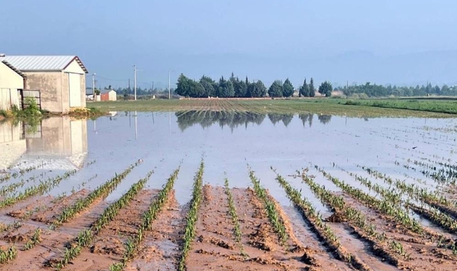 Yenişehir'de sel ve dolu felaketi