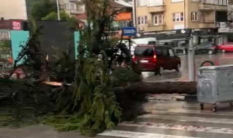 Yenişehir ve Keles'i sel vurdu