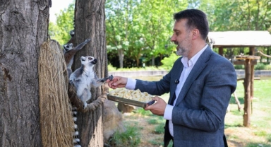 Başkan Vekili Biba'dan hayvanat bahçesi'ne ziyaret