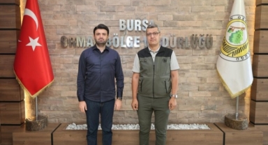 Bursaspor taraftarı orman yangınlarına karşı seferber oluyor