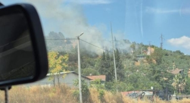 Gemlik'te zeytinlik alanda çıkan yangın kontrol altına alındı