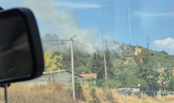 Gemlik'te zeytinlik alanda çıkan yangın kontrol altına alındı