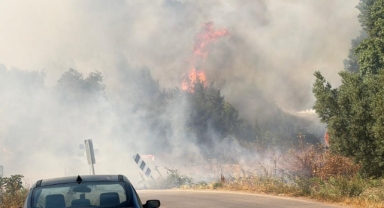 İznik'te çöplükte başlayan alevler ormana sıçradı