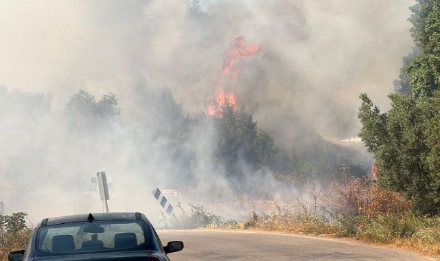 İznik'te çöplükte başlayan alevler ormana sıçradı