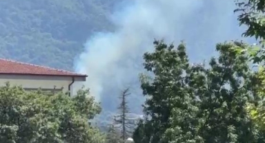 Kestel'deki orman yangını söndürüldü