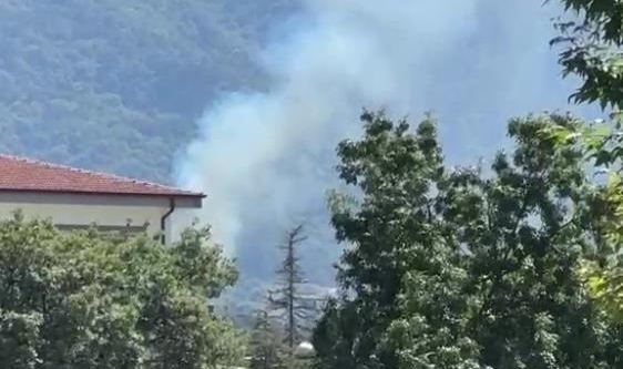 Kestel'deki orman yangını söndürüldü