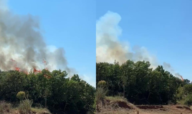 Kestel'deki orman yangını söndürüldü