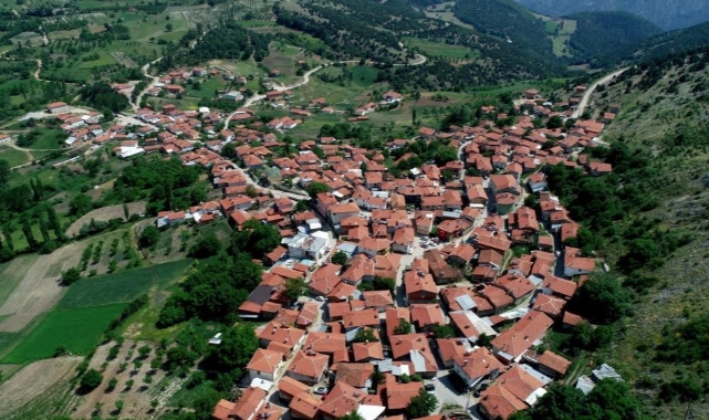 Köylülerin ürettiği peynir coğrafi işaret tescili aldı