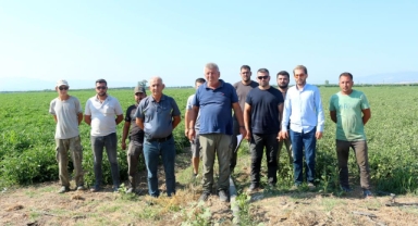 Manyas Gölü'nden gelen ilaçlı su sorununa üretici çözüm bekliyor
