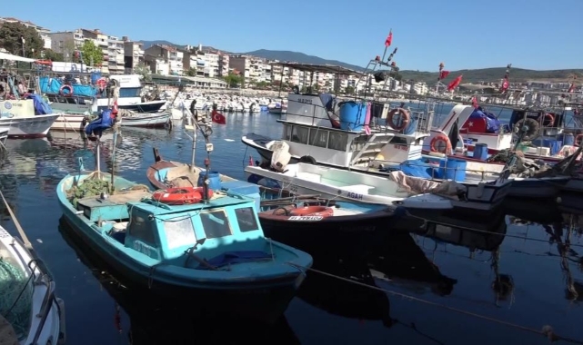 Marmara'nın emektar balıkçıları müsilaj ve bilinçsiz avlanmadan şikayetçi