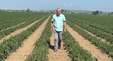 Sözleşme yaptığı firma ürünü almayınca 20 milyon lira zarar etti